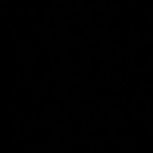 Meet your Posher, Ray